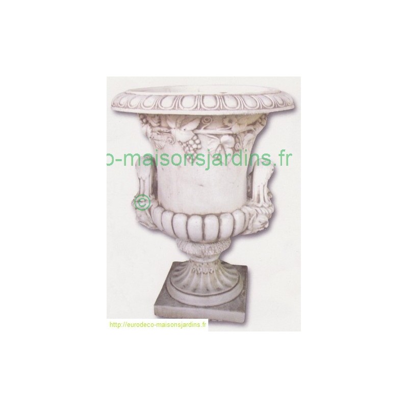 Vase raisins-461
