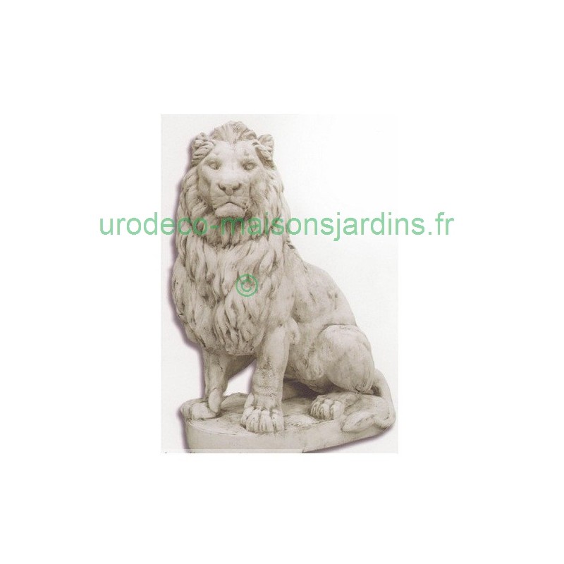 grand lion droite
