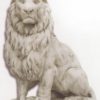 Grand lion - droit